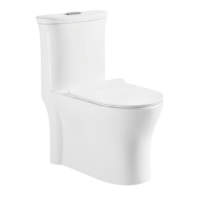 Super Whirlpool Water Saving Toilet
